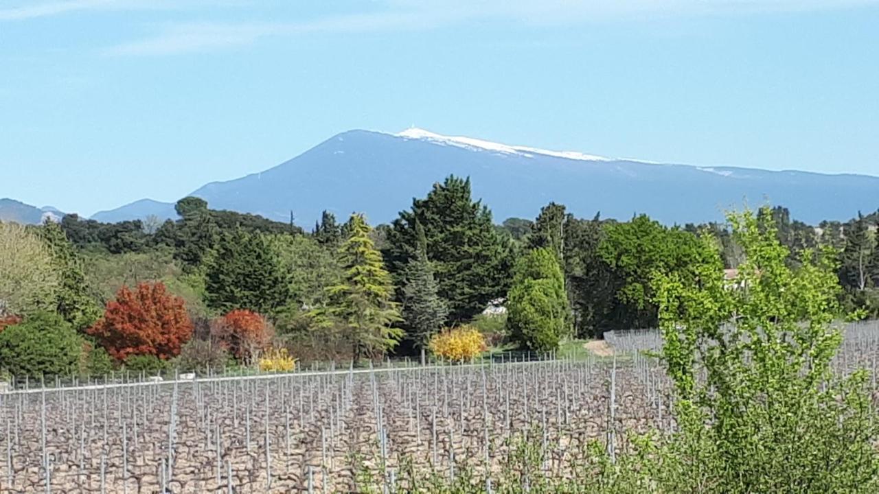 Gite Dentelles Loriol-du-Comtat Екстериор снимка